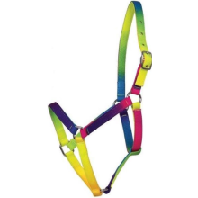Kantar Rainbow neon multicolor WALDHAUSEN